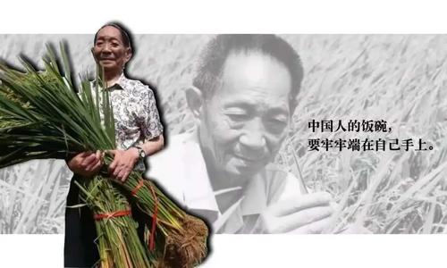 機械工程系開展“紀(jì)念雜交水稻之父袁隆平”活動